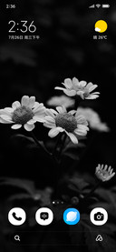 Vintage Bloom