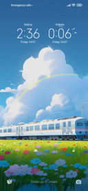 The train