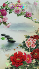 牡丹花开