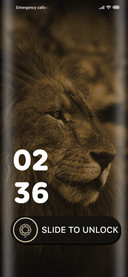 Lion of the Desert