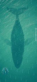 护眼绿