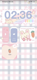 Pink Blue Rabbit