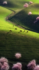 Southern and Northern Xinjiang are paradise 3
