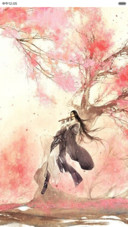 若水红颜（落雨落花特效丶全图标自由桌面）