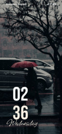 Rain Walker