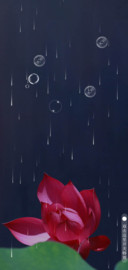 夏夜红莲