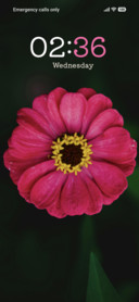 Pink Radiance
