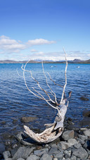 A hidden gem for hiking in torres del paine chile