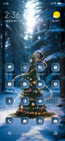 Christmast Spirit