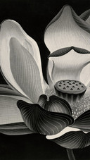 威双“Re·睿”巡展