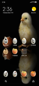 Egg Chick