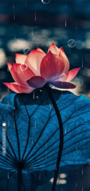 荷