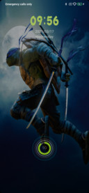 Ninja turtles