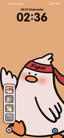 Fun Duck