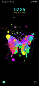 Rainbow Butterflies