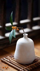 Osmanthus Fragrans in August