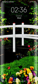 Bridge_Wooden