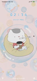 Happy fat cat