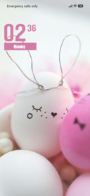 Bunny