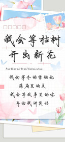 我会等枯树开出新花