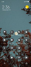 Moon Bloom