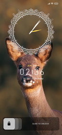 Wildlife_Deer2