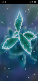 霜降