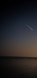 影