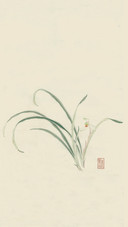 何红玉笔下的兰花