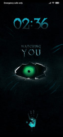 IRIS_DWM2