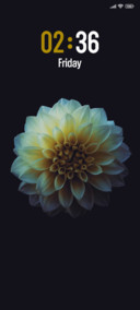 White Flower