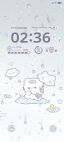 Cat's rainy season