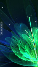 绚烂之花