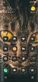 Cute_Cat_Five