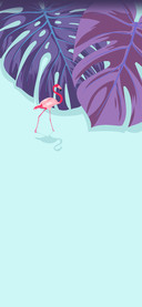轻夏