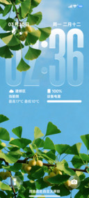 AP26通透玻璃