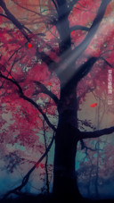 林叶