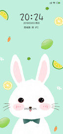 小兔子萌萌哒