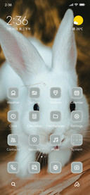 Rabbit