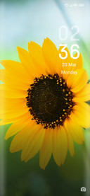 Sunray