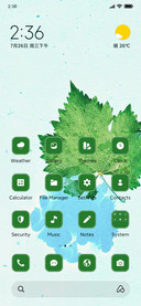 Mint Leaf