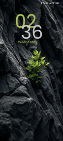 Wild ? Rock