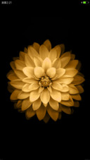 iOS Gold