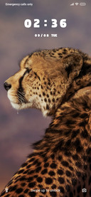 Leopard_3MDS