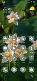 White Lotus