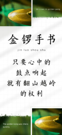 金锣手书