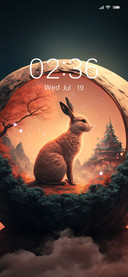  Rabbit Mochizuki