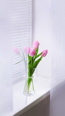Beautiful pink tulips in glass vase on windowsill background