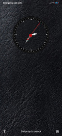 Black Leather
