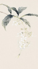 芊芊玉笔画春秋